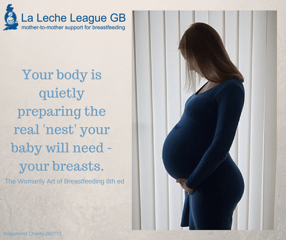 Birth & Breastfeeding La Leche League GB